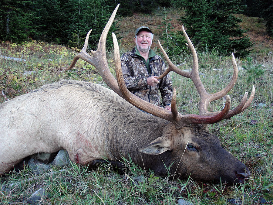 Hunting for Roosevelt Elk Vancouver Island