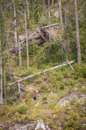 Vancouver Island